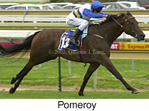 r9pomeroy3.jpg (14053 bytes)