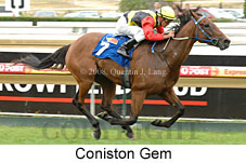 Coniston Gem (14872 bytes)