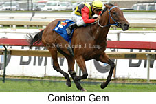 Coniston Gem (14872 bytes)