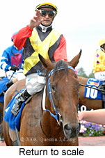 Return to scale (15361 bytes)