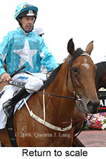 Return to scale (15361 bytes)