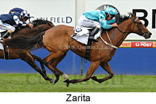 Zarita (14872 bytes)