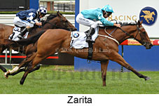 Zarita (14872 bytes)