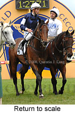 Return to scale (15361 bytes)