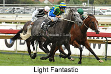 Light Fantastic (14872 bytes)