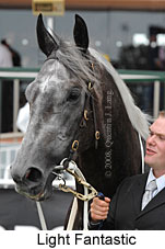 Light Fantastic (14872 bytes)