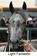 Light Fantastic (14872 bytes)