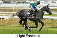 Light Fantastic (14872 bytes)