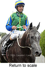 Return to scale (15361 bytes)