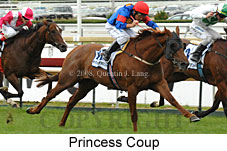 Princess Coup (14872 bytes)