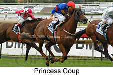 Princess Coup (14872 bytes)