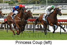 Princess Coup (14872 bytes)