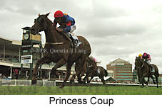 Princess Coup (14872 bytes)