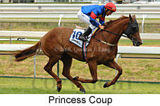 Princess Coup (14872 bytes)