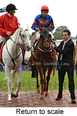 Return to scale (15361 bytes)