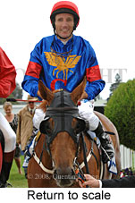 Return to scale (15361 bytes)