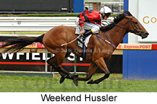 Weekend Hussler (16081 bytes)