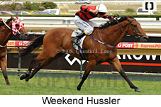 Weekend Hussler (14872 bytes)