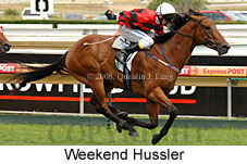 Weekend Hussler (14872 bytes)