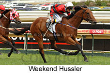 Weekend Hussler (14872 bytes)