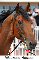 Weekend Hussler (14872 bytes)