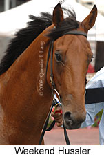 Weekend Hussler (14872 bytes)