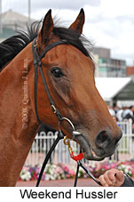 Weekend Hussler (14872 bytes)