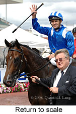 Return to scale (15361 bytes)