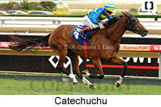 Catechuchu (14872 bytes)