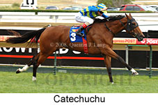 Catechuchu (14872 bytes)