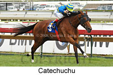 Catechuchu (14872 bytes)