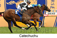 Catechuchu (14872 bytes)