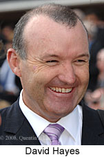 David Hayes (14872 bytes)