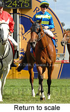 Return to scale (15361 bytes)