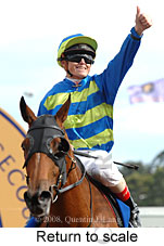 Return to scale (15361 bytes)