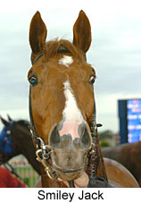 Smiley Jack (14772 bytes)