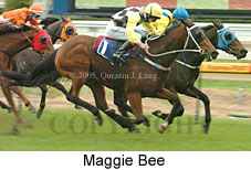 Maggie Bee (14772 bytes)