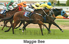 Maggie Bee (14772 bytes)