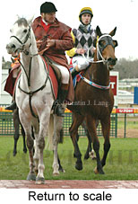 Return to scale (14008 bytes)