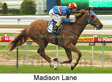 Madison Lane (14772 bytes)