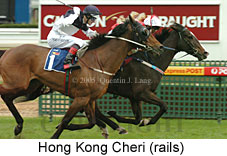 Hong Kong Cheri (14772 bytes)
