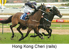 Hong Kong Cheri (14772 bytes)