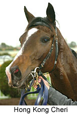 Hong Kong Cheri (14772 bytes)