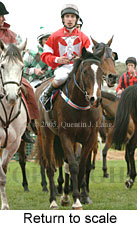 Return to scale (14008 bytes)