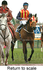 Return to scale (14008 bytes)