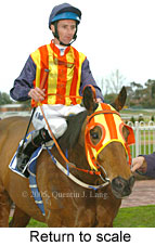 Return to scale (14008 bytes)