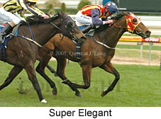 Super Elegant (17571 bytes)