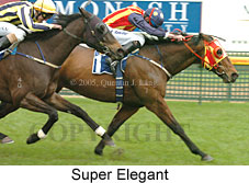 Super Elegant (14772 bytes)