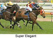 Super Elegant (14772 bytes)