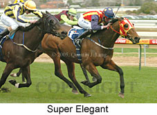 Super Elegant (14772 bytes)